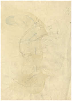 Visualizza l'immagine "FD D 2917 v."